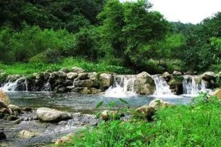 广东茂名信宜天马山房车露营地